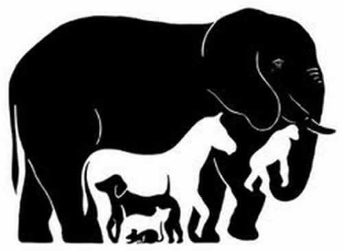 Quantos animais voce vê na imagem