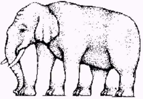 Quantas pernas tem o elefante?