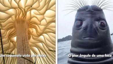 23 Ângulos alternativos de fotos que mostram o mundo de uma forma pouco vista