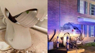 18 pessoas que encontrou pequenas surpresas em sua própria casa 2