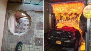 20 fotos raras que provam que tudo pode acontecer neste mundo