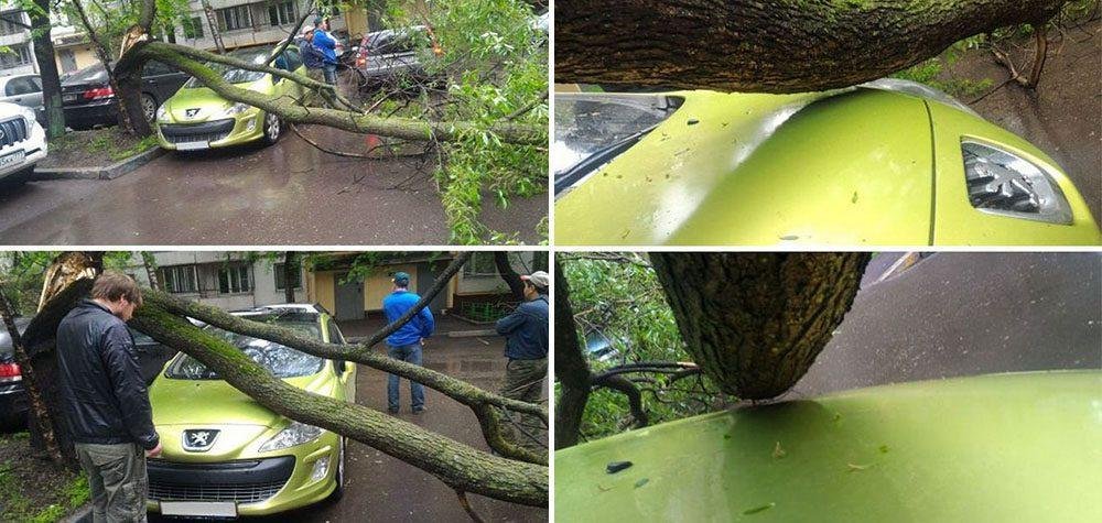 18 coisas que parecem absurdas, mas realmente aconteceram