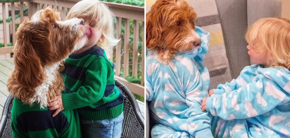 cachorro-roupas-bebe-3