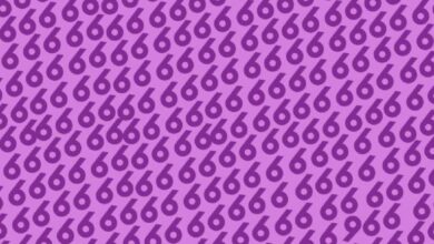 Descubra o número 96, a maioria não consegue em 5 segundos