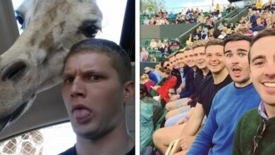 20 Pessoas Que São Craques Na Hora De Tirar Selfies