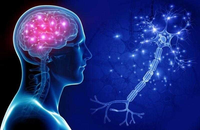 8 hábitos que afetam sua saúde cerebral sem que você perceba