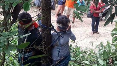 Boliviana foi amarrada a uma árvore por aldeões irritados – e depois condenada à morte por formigas