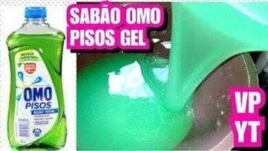 Bau das DICAS