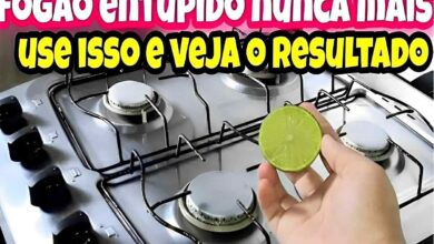 Bau das DICAS