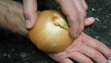 Ela passa cebola na pele, veja o motivo e você também fará