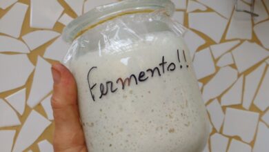 Bau das DICAS