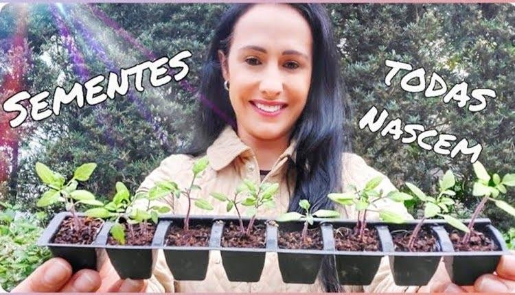 Meu Segredo para fazer Mudas de Plantas