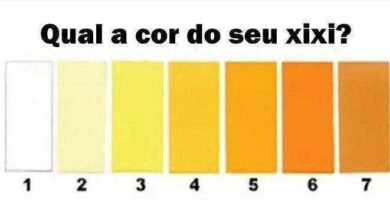 Bau das DICAS