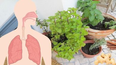 10 antes e depois de pessoas que venceram o câncer e recomeçaram a vida