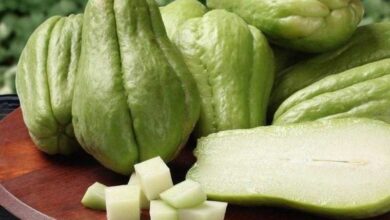 17 benefícios incríveis do chuchu para ter uma saúde de ferro