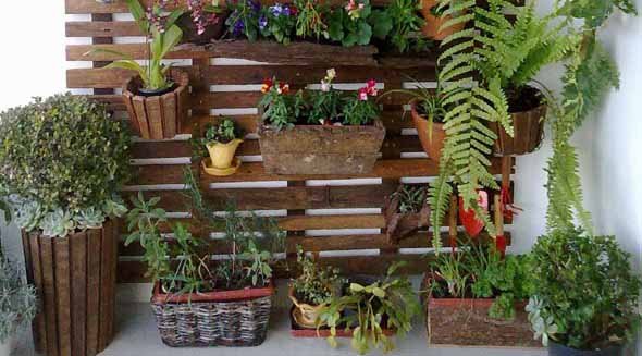 1497470628 234 diy como montar um jardim vertical no quintal