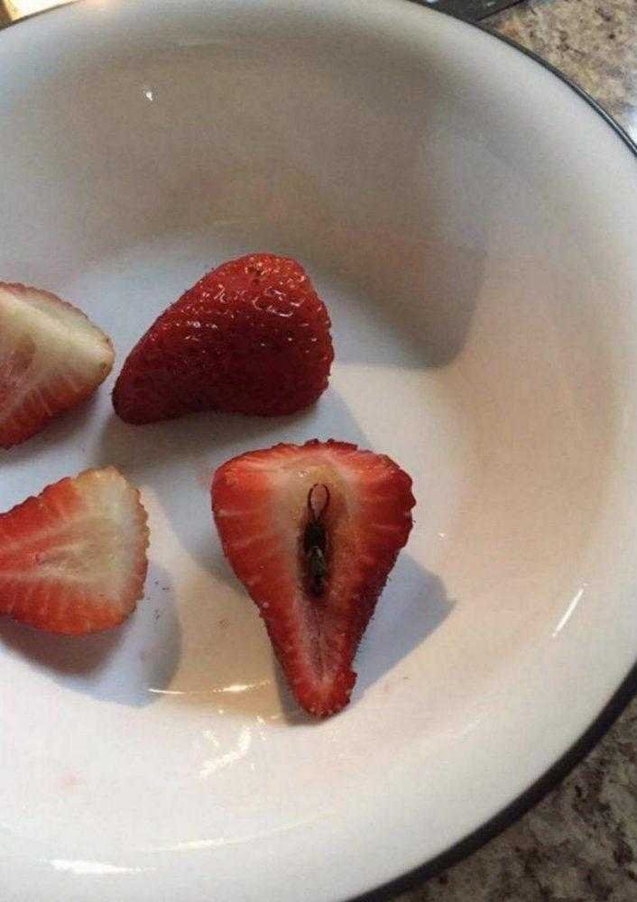 Por que você deve cortar sempre os morangos antes de comer tg