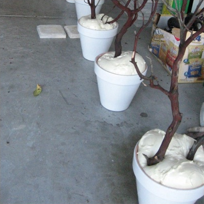 1512717615 226 ideias infaliveis para manter uma casa mais organizada