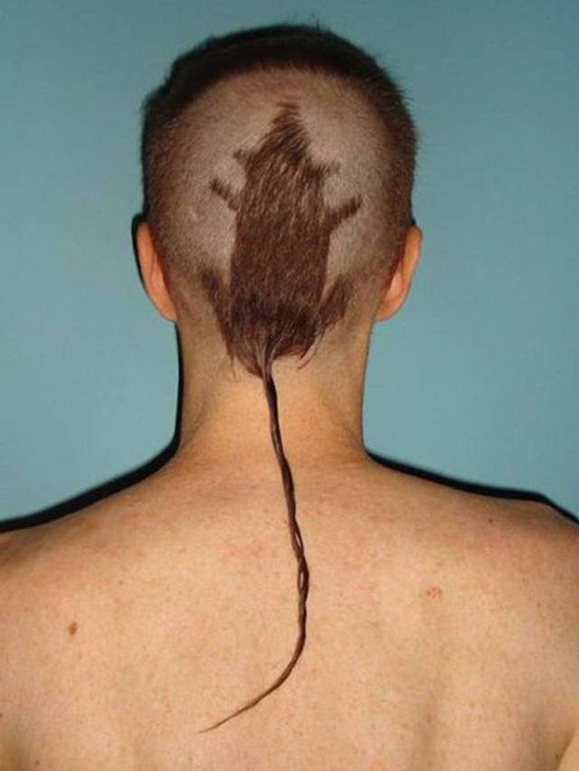 1493940881 463 10 cortes de cabelo mais bizarros de todos os tempos
