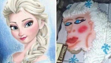 22 vezes que as pessoas tentaram fazer algo sozinhas, mas não saiu como o esperado 2