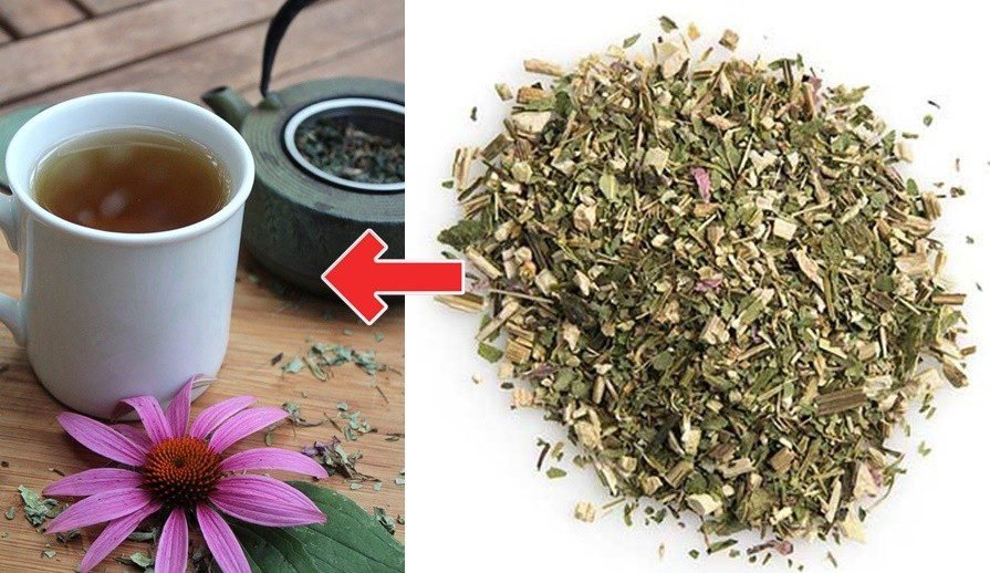 cha de echinacea para aumentar o sistema imunologico Chá de laranja para fortalecer a imunidade: como fazer, receitas e dicas