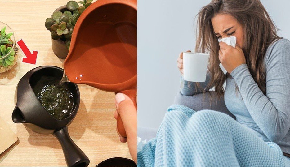 chá verde para fortalecer o sistema imunológico Chá de laranja para fortalecer a imunidade: como fazer, receitas e dicas