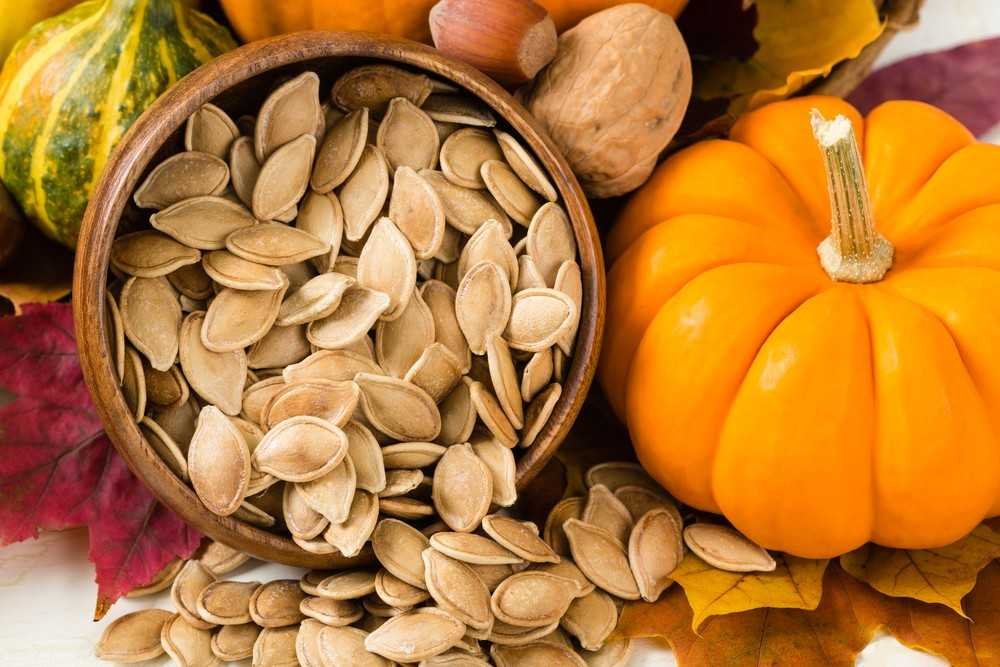 Sementes de abóbora é rico em zinco Sementes de abóbora é rico em zinco