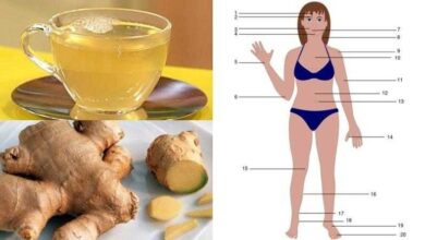 5 motivos para você beber chá de gengibre, sempre que possível