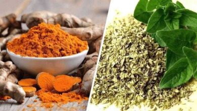6 ervas vao acabar com a inflamacao e melhorar sua capacidade de raciocinio