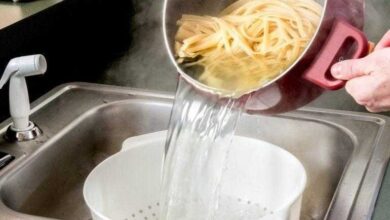 Viúva milionária deixa 1,6 bilhões de dólares para seu cachorro para castigar seus filhos