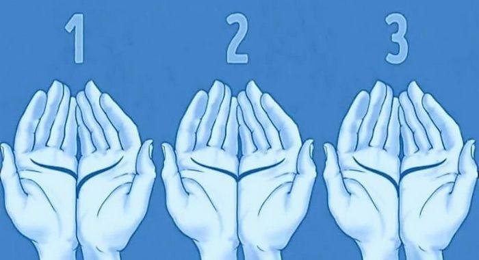 As linhas da sua mão revela algo incrível sobre você 2