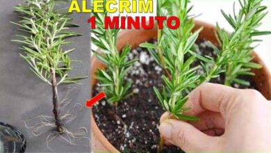 30 Nomes absolutamente estranhos registrados em cartórios no Brasil.
