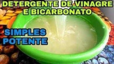 Senhora morre após ser picada por cerca de 500 abelhas