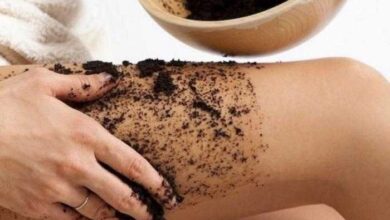 O Que Acontece Quando uma Mosca Pousa na Sua Comida? Descubra!