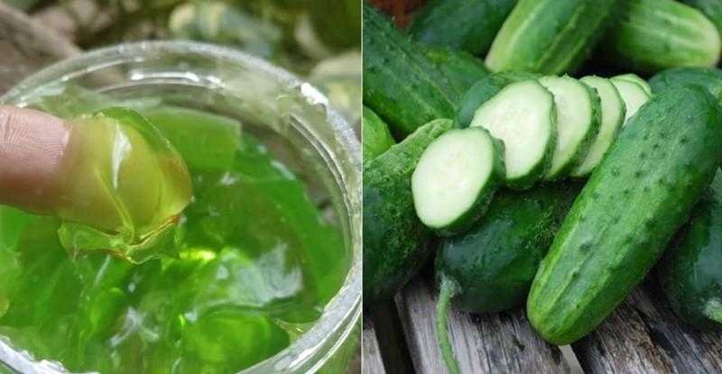 Gel de Pepino e Aloe Vera
