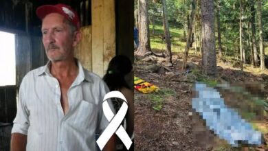 Idoso de 82 anos que morreu durante colheita de pinhao
