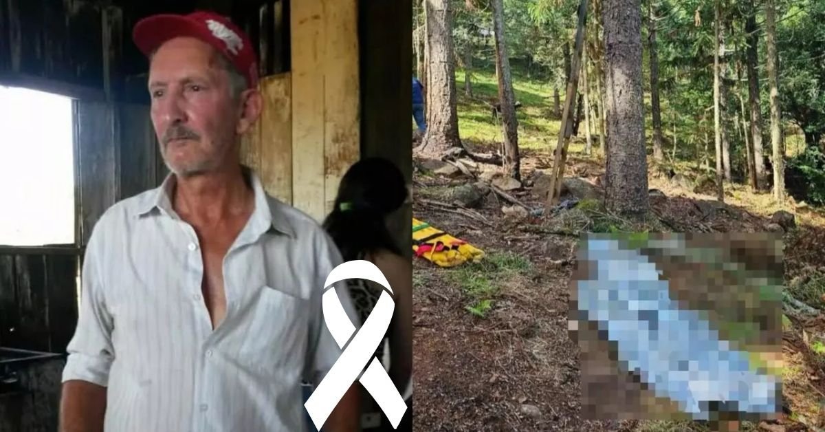 Idoso de 82 anos que morreu durante colheita de pinhao