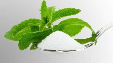 J%C3%A1 conhece a stevia o a%C3%A7%C3%BAcar que n%C3%A3o faz mal
