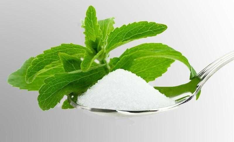 J%C3%A1 conhece a stevia o a%C3%A7%C3%BAcar que n%C3%A3o faz mal