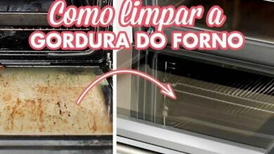 Bau das DICAS
