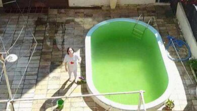 mulher confunde drone com disco voador e video viraliza