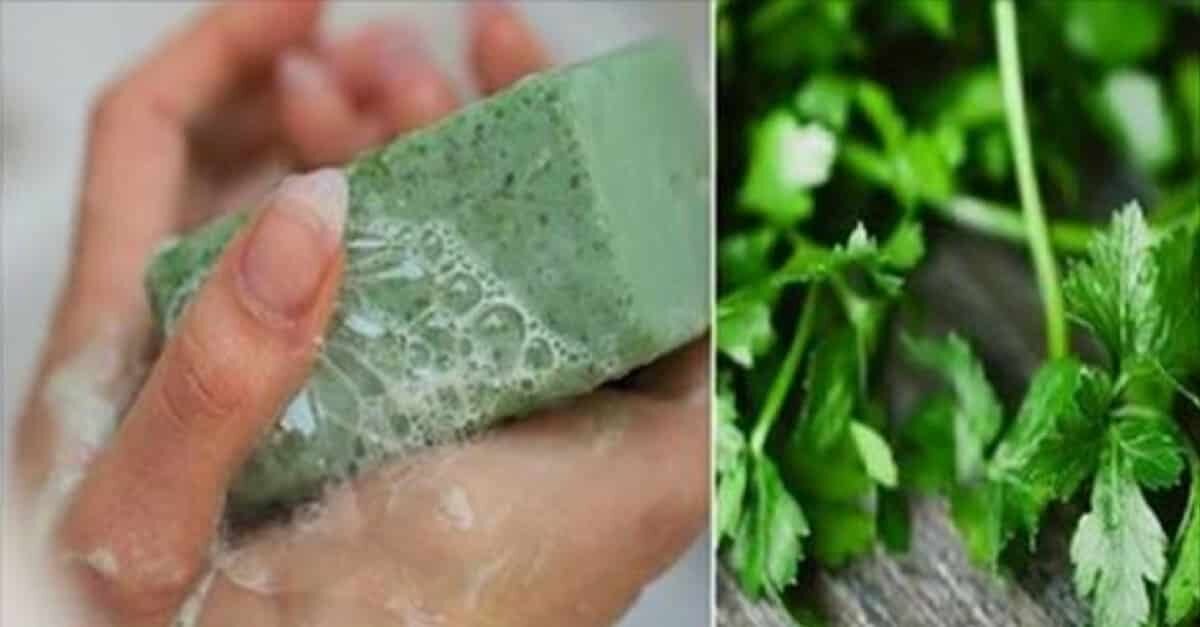 receita de sabonete de salsa para eliminar manchas na pele s