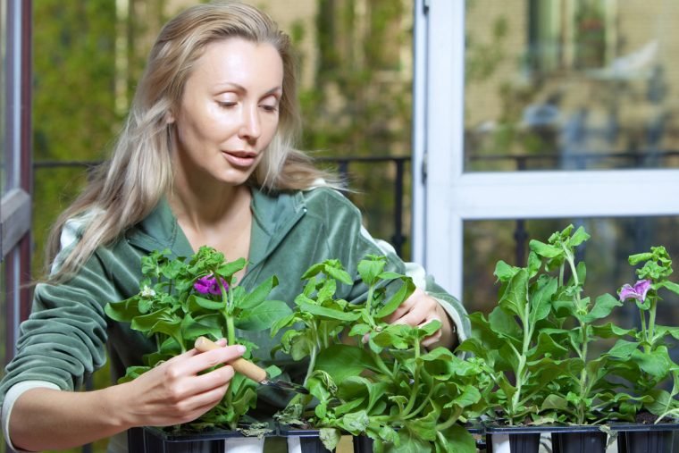 1495557812 834 se voce conversa com o seu cao ou suas plantas isto e o que a ciencia diz sobre voce