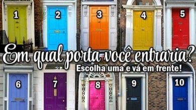 Cão que passou anos acorrentado finalmente voltou a ser um “cão de verdade”