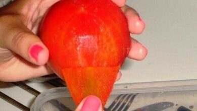 Truque para tirar a pele do tomate de forma rápida e eficaz 1f