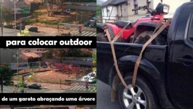 25 momentos em que pessoas e animais falharam de forma hilária em suas funções