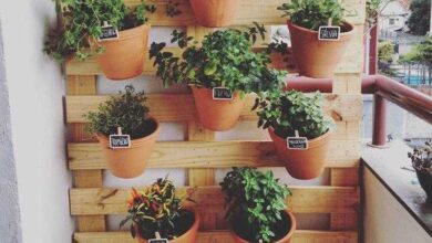 Como Fazer Jardim Vertical