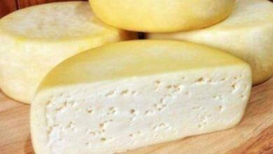 Queijo colonial caseiro: aquele sabor de fazenda que a gente ama