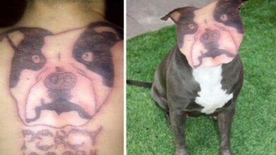 As piores tatuagens que você verá hoje… SÉRIO!