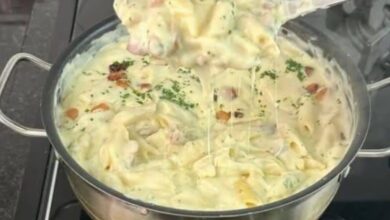 Quando faço essa receita de Macarrão ao Creme não sobra nem um fio na panela! Aprenda e surpreenda todo mundo!